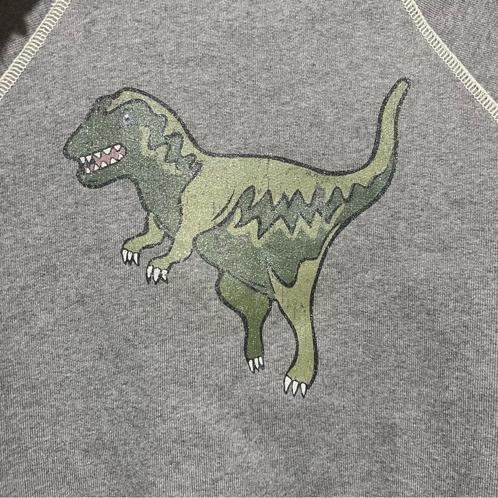 💗 *NEW* Limited Edition- Gray Coach Women Sweater with Glitter Dinosaur Design - Picture 5 of 13